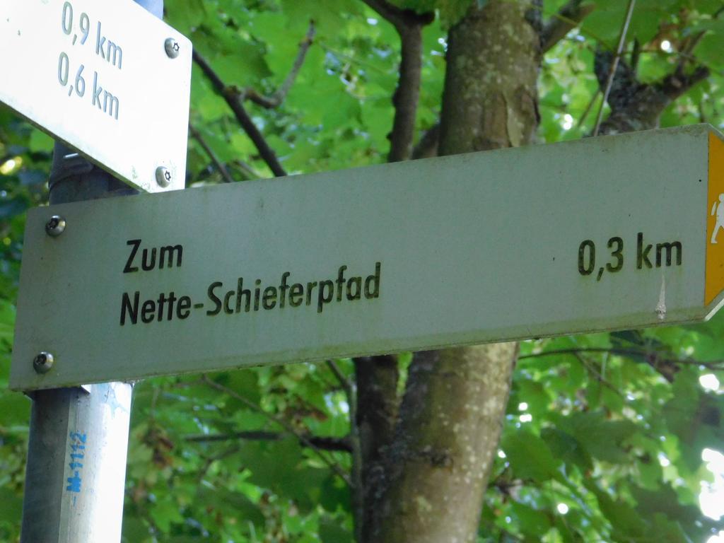 Ferienwohnung Schmitz Welling Экстерьер фото